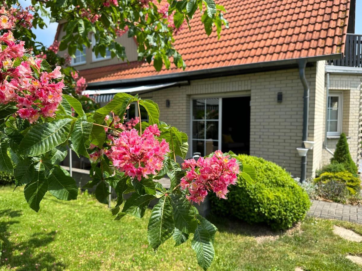 Familienurlaub Im Gruenen Lejlighed Wernigerode Eksteriør billede