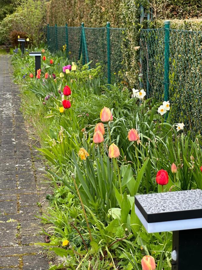 Familienurlaub Im Gruenen Lejlighed Wernigerode Eksteriør billede